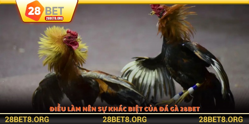 Điều làm nên sự khác biệt của Đá gà 28BET