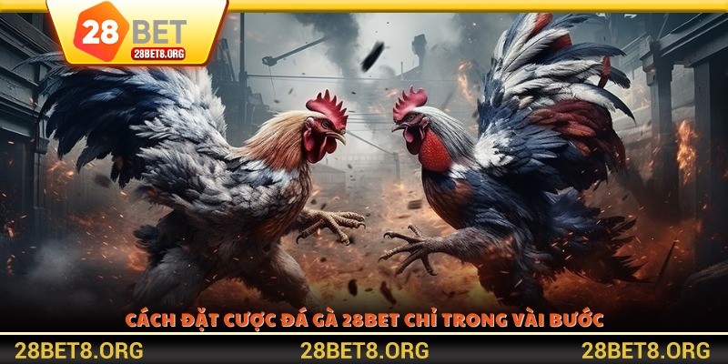 Cách đặt cược đá gà 28BET chỉ trong vài bước