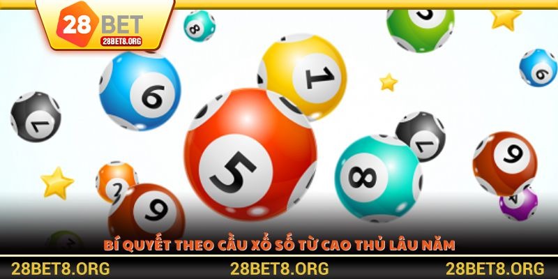 Bí quyết theo cầu xổ số từ cao thủ lâu năm